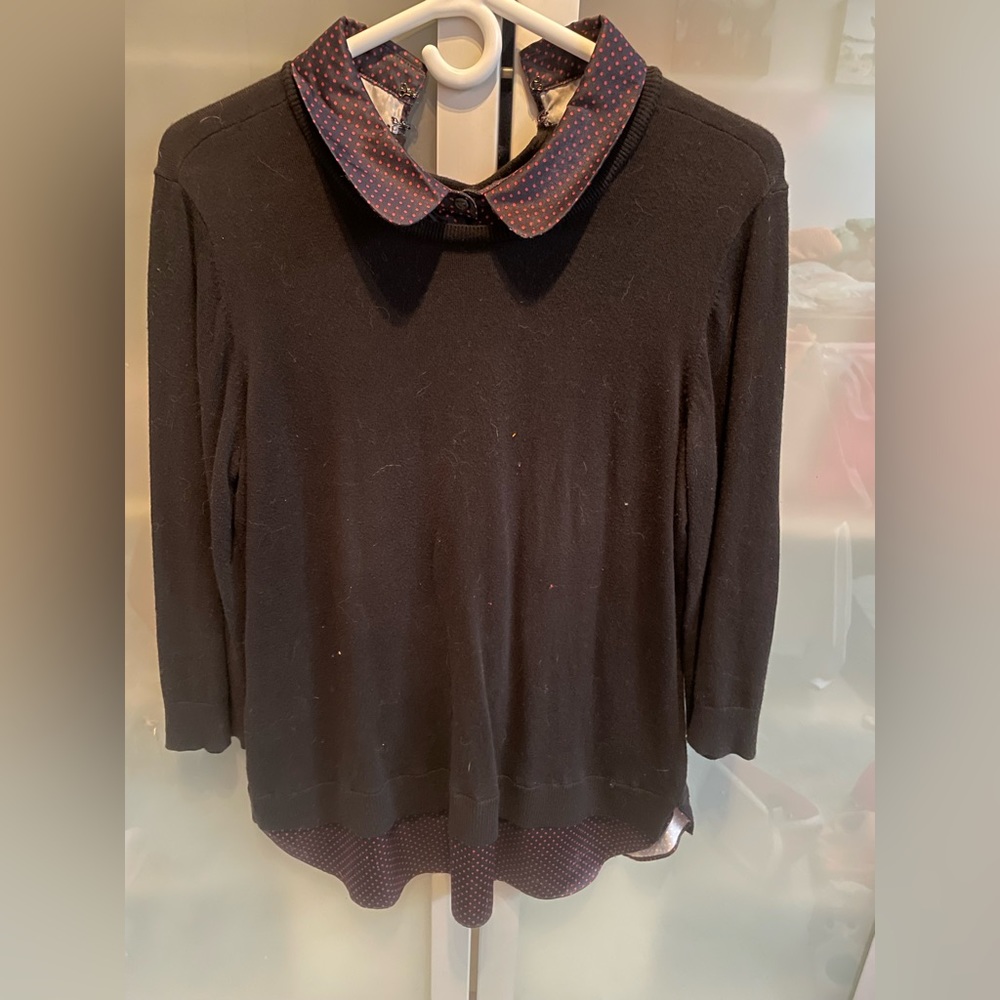 Ann Taylor sweater